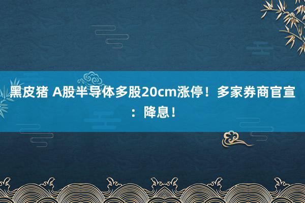 黑皮猪 A股半导体多股20cm涨停！多家券商官宣：降息！