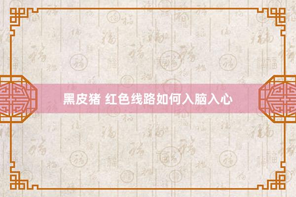 黑皮猪 红色线路如何入脑入心
