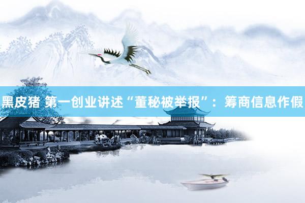 黑皮猪 第一创业讲述“董秘被举报”：筹商信息作假