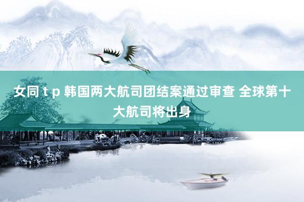 女同 t p 韩国两大航司团结案通过审查 全球第十大航司将出身