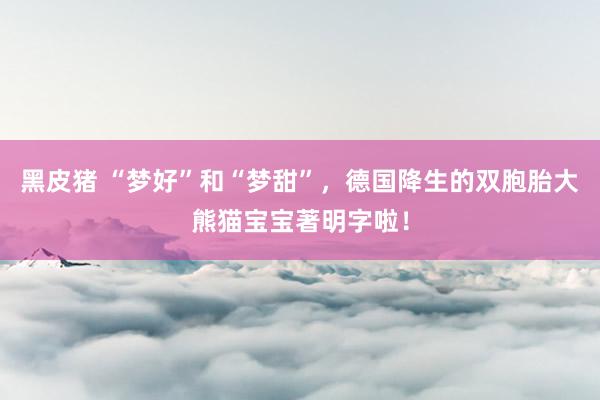 黑皮猪 “梦好”和“梦甜”，德国降生的双胞胎大熊猫宝宝著明字啦！