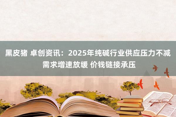 黑皮猪 卓创资讯：2025年纯碱行业供应压力不减 需求增速放缓 价钱链接承压