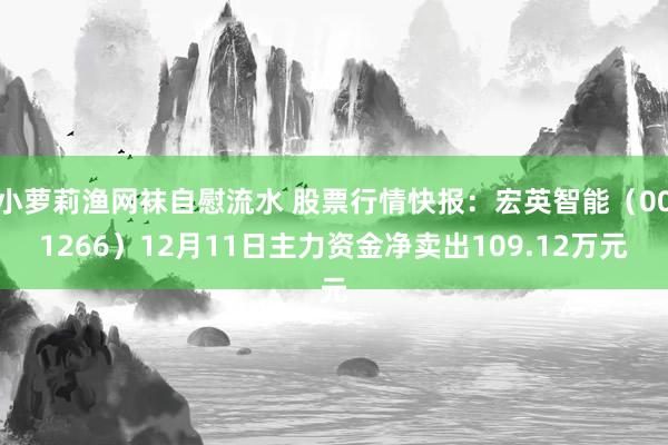 小萝莉渔网袜自慰流水 股票行情快报：宏英智能（001266）12月11日主力资金净卖出109.12万元
