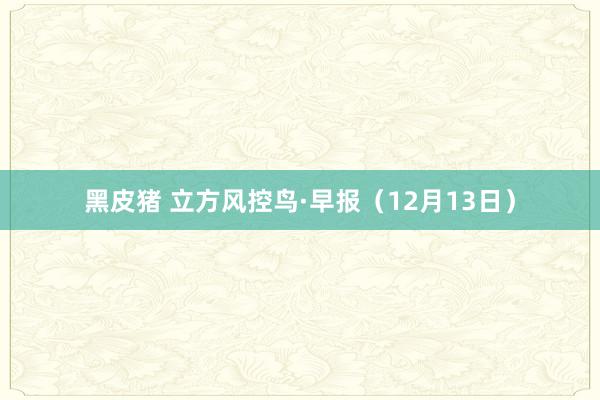 黑皮猪 立方风控鸟·早报（12月13日）