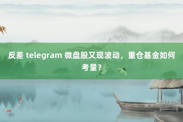 反差 telegram 微盘股又现波动，重仓基金如何考量？