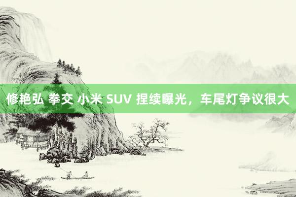 修艳弘 拳交 小米 SUV 捏续曝光，车尾灯争议很大