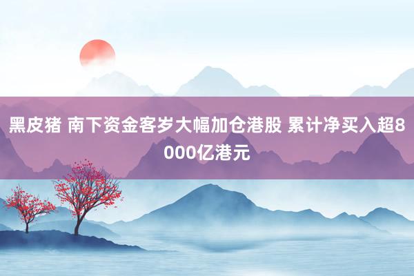 黑皮猪 南下资金客岁大幅加仓港股 累计净买入超8000亿港元