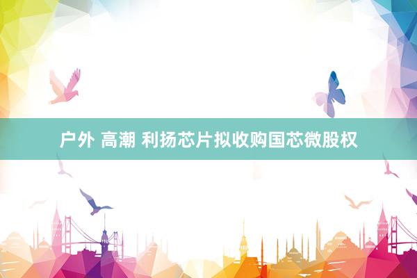 户外 高潮 利扬芯片拟收购国芯微股权
