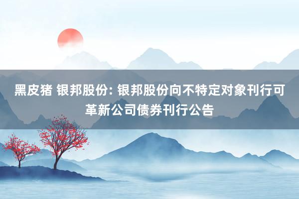 黑皮猪 银邦股份: 银邦股份向不特定对象刊行可革新公司债券刊行公告