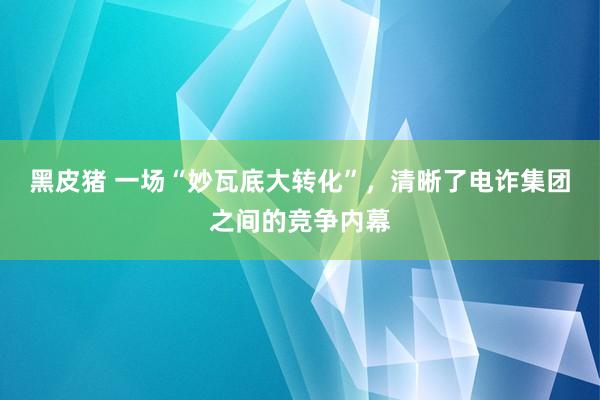 黑皮猪 一场“妙瓦底大转化”，清晰了电诈集团之间的竞争内幕