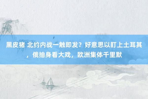 黑皮猪 北约内战一触即发？好意思以盯上土耳其，俄抽身看大戏，欧洲集体千里默