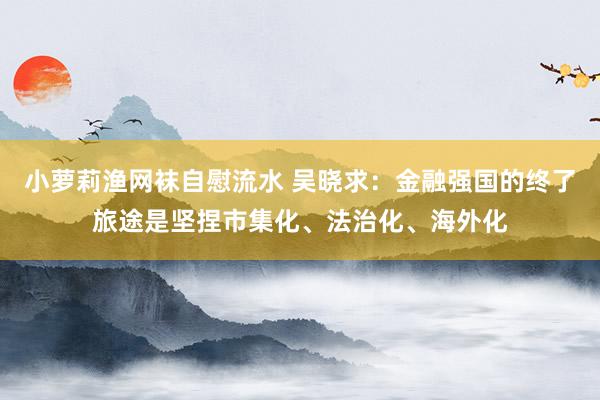 小萝莉渔网袜自慰流水 吴晓求：金融强国的终了旅途是坚捏市集化、法治化、海外化