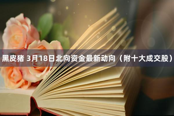 黑皮猪 3月18日北向资金最新动向（附十大成交股）