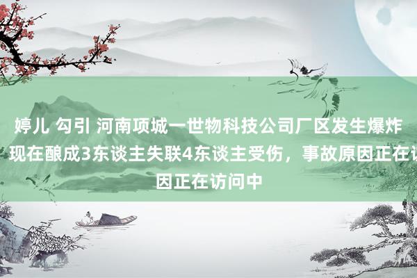 婷儿 勾引 河南项城一世物科技公司厂区发生爆炸事故：现在酿成3东谈主失联4东谈主受伤，事故原因正在访问中