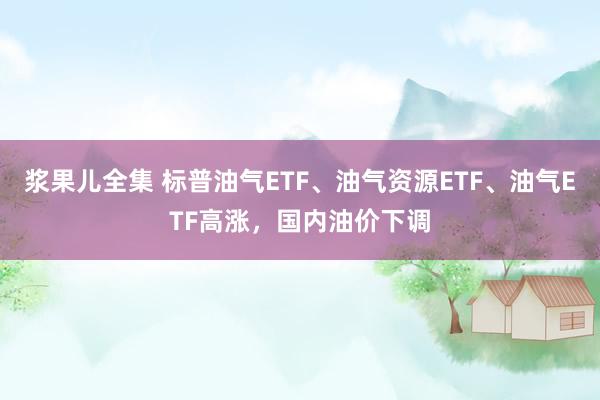 浆果儿全集 标普油气ETF、油气资源ETF、油气ETF高涨，国内油价下调