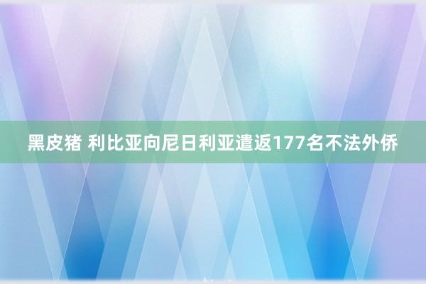 黑皮猪 利比亚向尼日利亚遣返177名不法外侨