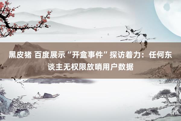 黑皮猪 百度展示“开盒事件”探访着力：任何东谈主无权限放哨用户数据