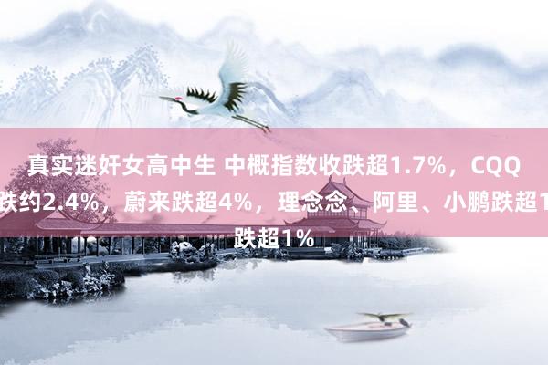 真实迷奸女高中生 中概指数收跌超1.7%，CQQQ跌约2.4%，蔚来跌超4%，理念念、阿里、小鹏跌超1%