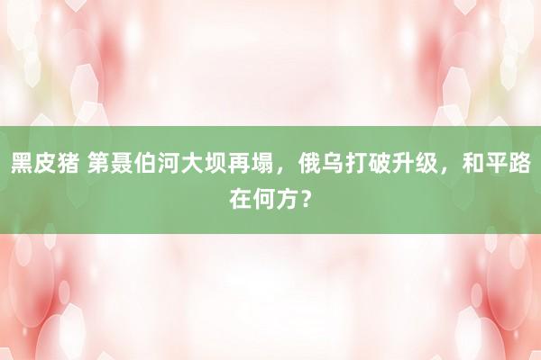 黑皮猪 第聂伯河大坝再塌，俄乌打破升级，和平路在何方？