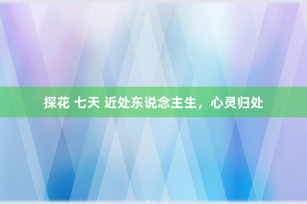 探花 七天 近处东说念主生，心灵归处