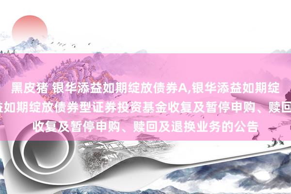 黑皮猪 银华添益如期绽放债券A，银华添益如期绽放债券D: 银华添益如期绽放债券型证券投资基金收复及暂停申购、赎回及退换业务的公告