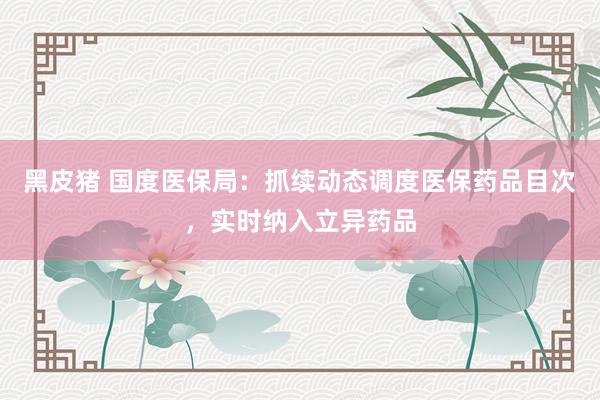 黑皮猪 国度医保局：抓续动态调度医保药品目次，实时纳入立异药品