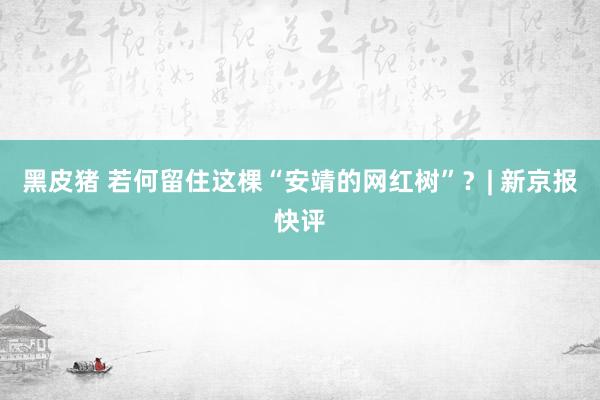 黑皮猪 若何留住这棵“安靖的网红树”？| 新京报快评