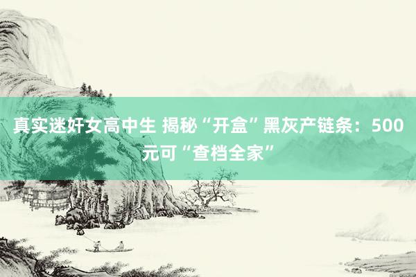 真实迷奸女高中生 揭秘“开盒”黑灰产链条：500元可“查档全家”