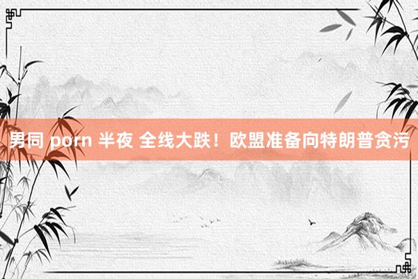 男同 porn 半夜 全线大跌！欧盟准备向特朗普贪污