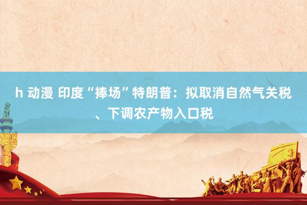 h 动漫 印度“捧场”特朗普：拟取消自然气关税、下调农产物入口税