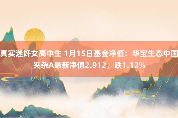 真实迷奸女高中生 1月15日基金净值：华宝生态中国夹杂A最新净值2.912，跌1.12%