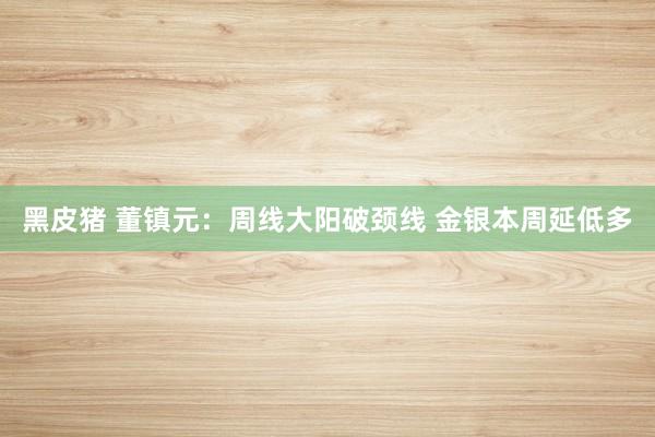 黑皮猪 董镇元：周线大阳破颈线 金银本周延低多