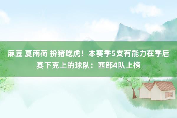 麻豆 夏雨荷 扮猪吃虎！本赛季5支有能力在季后赛下克上的球队：西部4队上榜